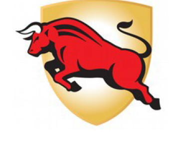 Red Bull vs. Bullsone