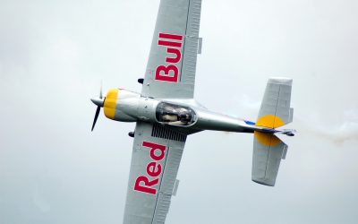 Die Macht der „Roten Bullen“ II – Wieso bekannte Flügel für einen Auftrieb einer Marke sorgen (Verwechslungsgefahr) #20